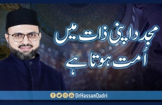 A Reviver is an ‘Ummah’ within his Individual Capacity Ambassador of Peace Conference on Quaid Day 2021-by-Prof Dr Hassan Mohi-ud-Din Qadri